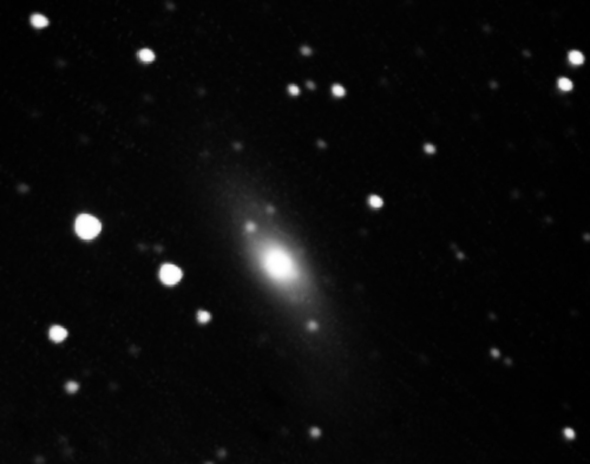 NGC 1023, 29.09.2013, (c) C. Preuß